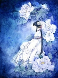 王妃的乌鸦嘴超灵